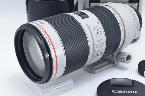 Canon 200mm 8 - f/2.8, is