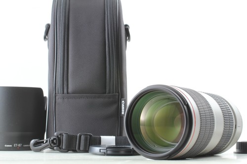 【Come nuovo con custodia】