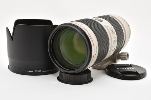 Canon 200 2 8 l - canon,