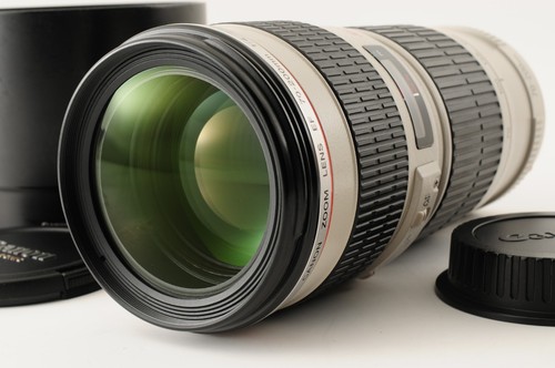 Canon 200mm 4 - f/4, l