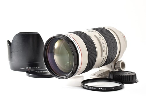 Ecc canon ef - canon,