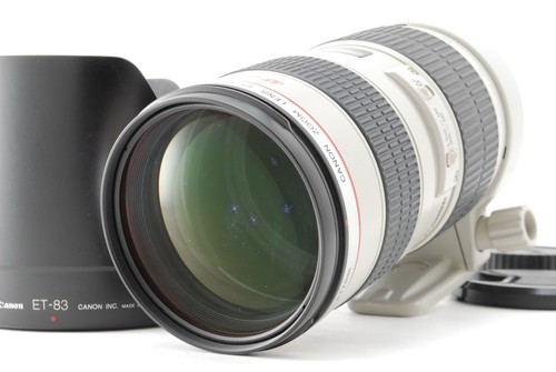 Ecc canon ef 70 200mm - canon, 70-200mm